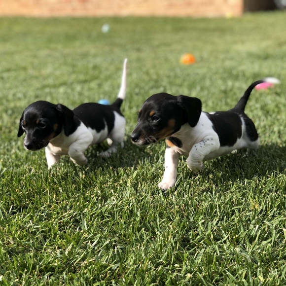 Meet your Posher, Kayla - Picture 12 of 13